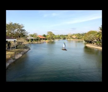 Rock Garden from the bridge