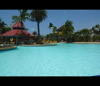 Big Swimming Pool with pool bar