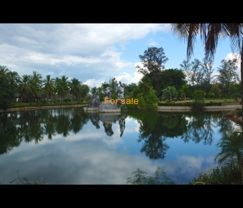 Lake in the park