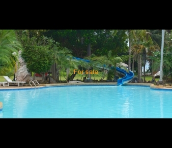 Water slider in the big pool