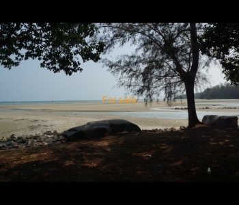 Beach low tide 